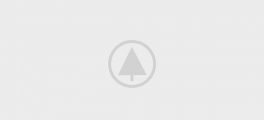 wood-gallery-placeholder-3 wood-gallery-placeholder-3