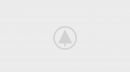 wood-gallery-placeholder-4 wood-gallery-placeholder-4