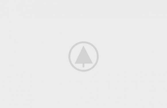 wood-gallery-placeholder-5 wood-gallery-placeholder-5