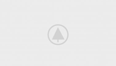 wood-portfolio-placeholder